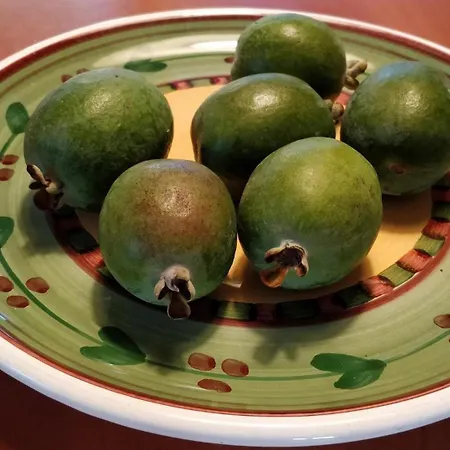 Giardino Tropicale Eco-friendly Private Pools