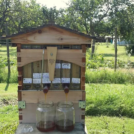 Villa Giardino Tropicale Eco-friendly Private Pools Lido di Noto