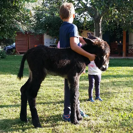 Giardino Tropicale Eco-friendly Private Pools Villa Lido di Noto