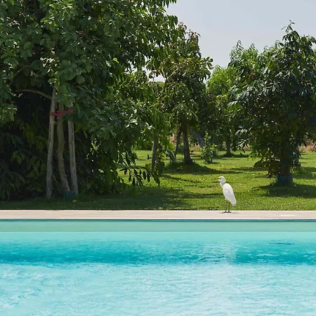 Villa Giardino Tropicale Eco-friendly Private Pools