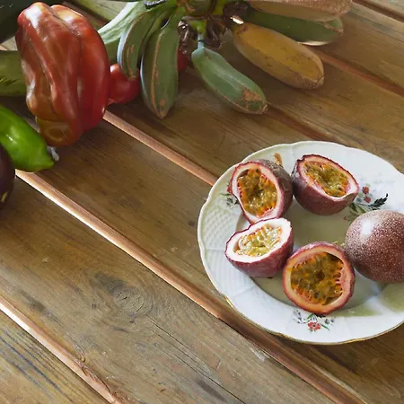 Giardino Tropicale Eco-friendly Private Pools * Lido di Noto