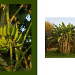 Villa Giardino Tropicale Eco-friendly Private Pools Lido di Noto