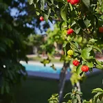 Villa Giardino Tropicale Eco-friendly Private Pools Lido di Noto