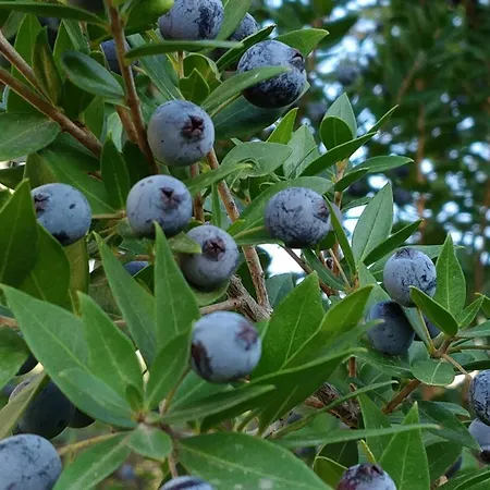 Villa Giardino Tropicale Eco-friendly Private Pools *