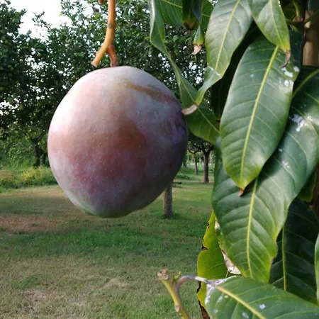 Giardino Tropicale Eco-friendly Private Pools * Lido di Noto