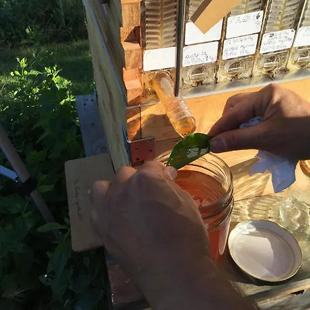 Villa Giardino Tropicale Eco-friendly Private Pools *