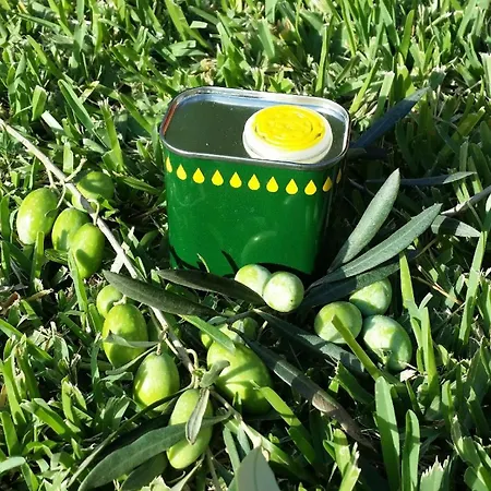 Villa Giardino Tropicale Eco-friendly Private Pools Lido di Noto