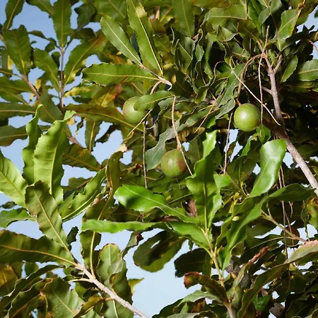 Giardino Tropicale Eco-friendly Private Pools Villa Lido di Noto