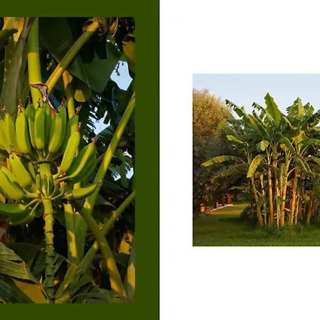 Villa Giardino Tropicale Eco-friendly Private Pools Lido di Noto