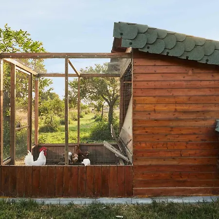 Giardino Tropicale Eco-friendly Private Pools Lido di Noto