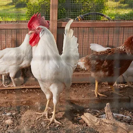 Giardino Tropicale Eco-friendly Private Pools * Lido di Noto