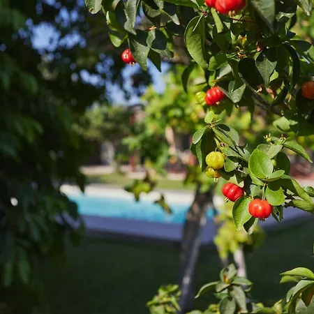 Villa Giardino Tropicale Eco-friendly Private Pools Lido di Noto