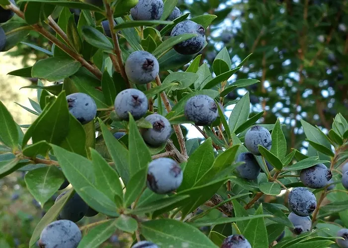 Villa Giardino Tropicale Eco-friendly Private Pools *