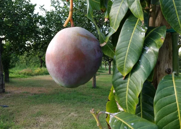 Giardino Tropicale Eco-friendly Private Pools * Lido di Noto