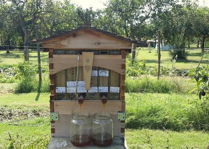 Villa Giardino Tropicale Eco-friendly Private Pools Lido di Noto