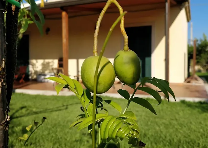 Villa Giardino Tropicale Eco-friendly Private Pools Lido di Noto