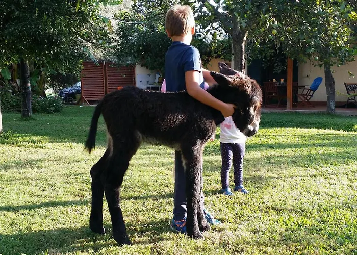 Giardino Tropicale Eco-friendly Private Pools Villa Lido di Noto