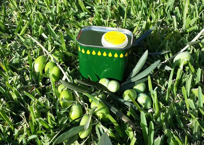 Villa Giardino Tropicale Eco-friendly Private Pools Lido di Noto