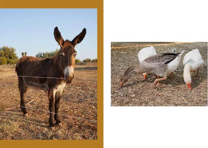 Giardino Tropicale Eco-friendly Private Pools Villa *