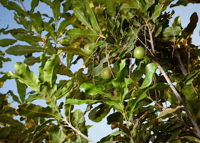 Giardino Tropicale Eco-friendly Private Pools Villa Lido di Noto