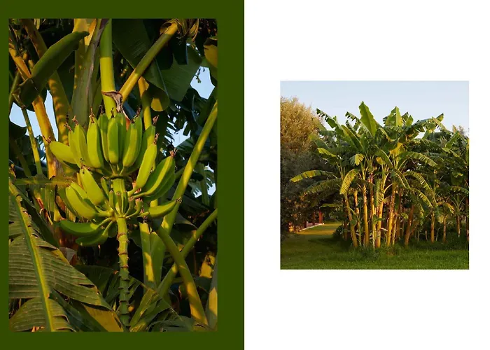 Villa Giardino Tropicale Eco-friendly Private Pools Lido di Noto