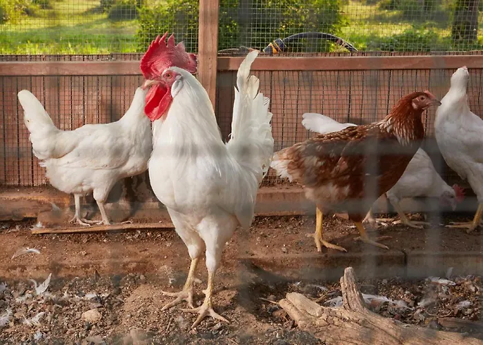 Giardino Tropicale Eco-friendly Private Pools * Lido di Noto