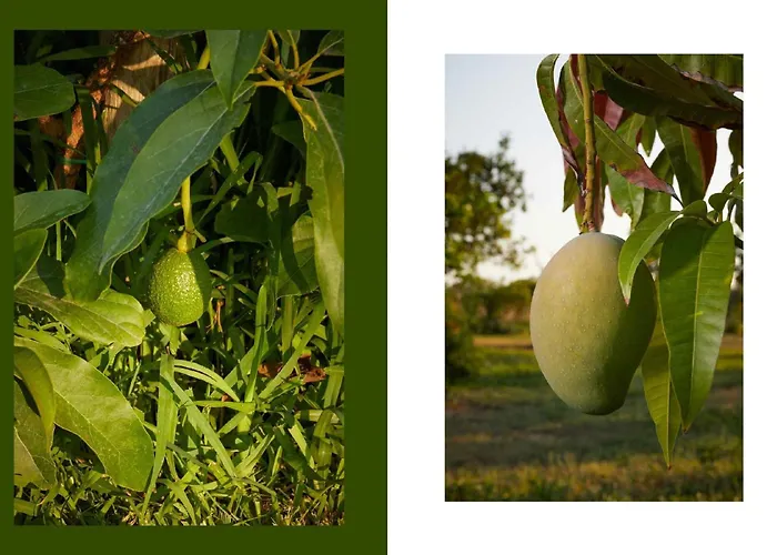 Villa Giardino Tropicale Eco-friendly Private Pools