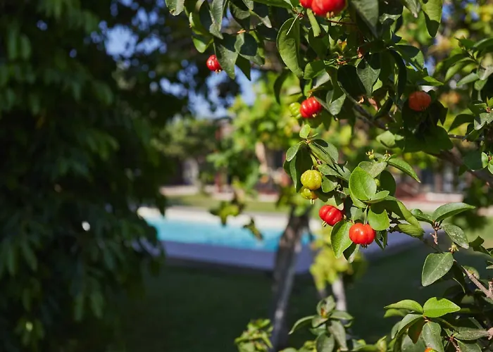 Villa Giardino Tropicale Eco-friendly Private Pools Lido di Noto