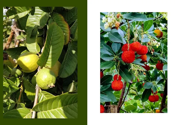 Villa Giardino Tropicale Eco-friendly Private Pools Lido di Noto