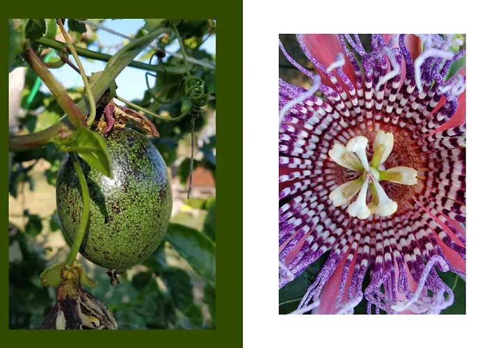 Villa Giardino Tropicale Eco-friendly Private Pools